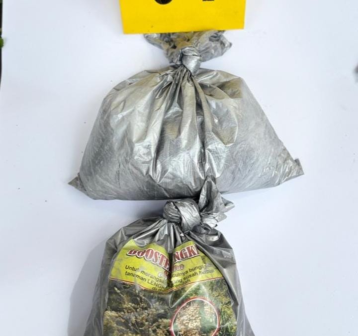 Operasi Pekat Polres Batu Sita Bahan Peledak Amankan 2 Orang Pembuat Mercon