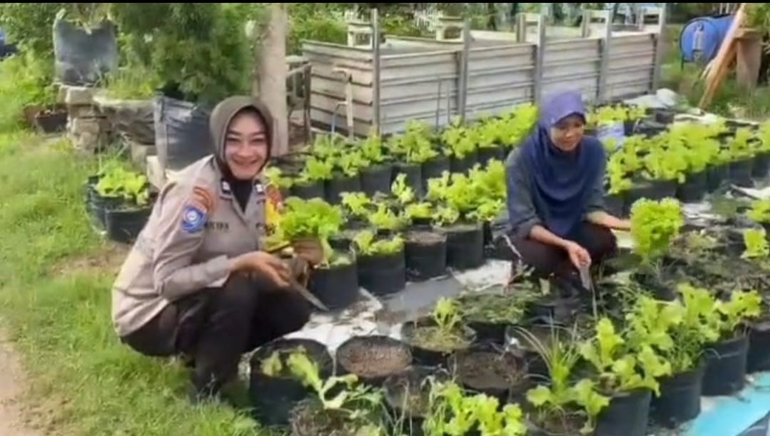 Lahan Sempit Jadi Kebun Sayur, Bhabinkamtibmas Tanjunganom Dampingi Warga Dukung Program Ketahanan Pangan