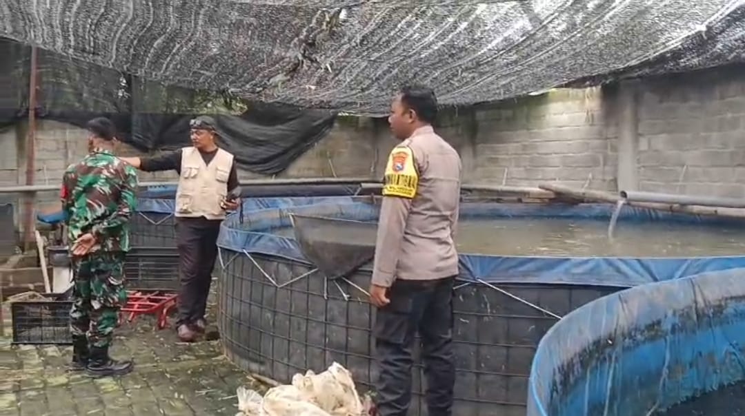 Inovasi Ketahanan Pangan, Polres Nganjuk Dampingi Warga Budidaya Nila dan Lele Sistem Bioflok