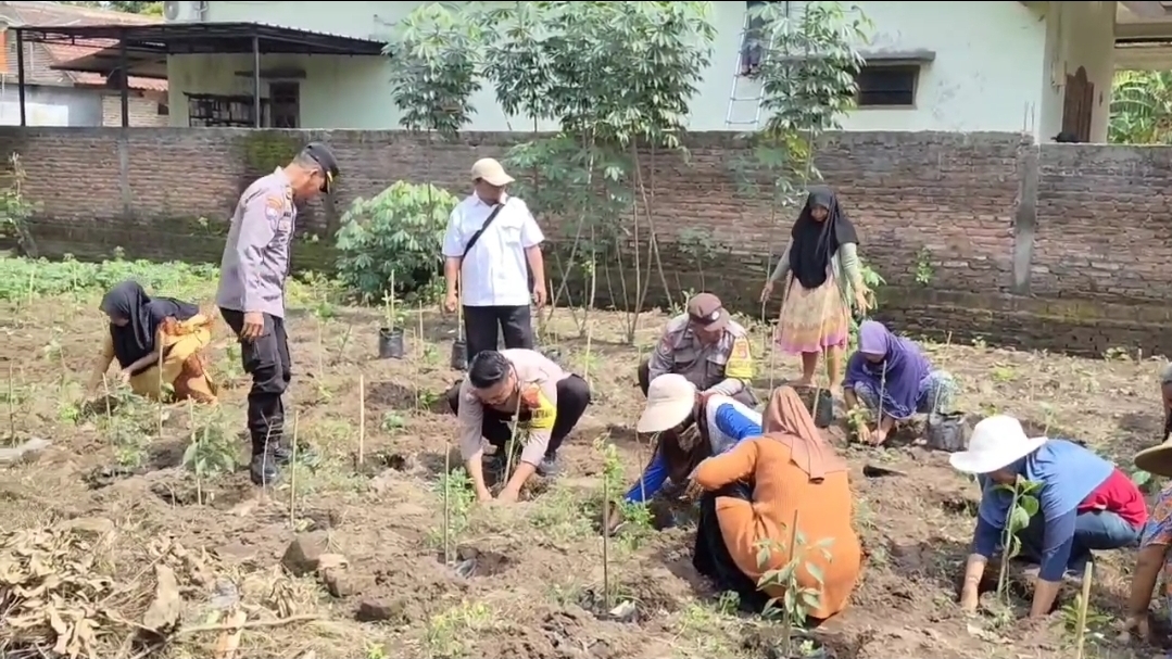 Dukung Ketahanan Pangan Nasional, Polsek Warujayeng Turun Langsung Tanam Cabai di Lahan P2B Desa Getas