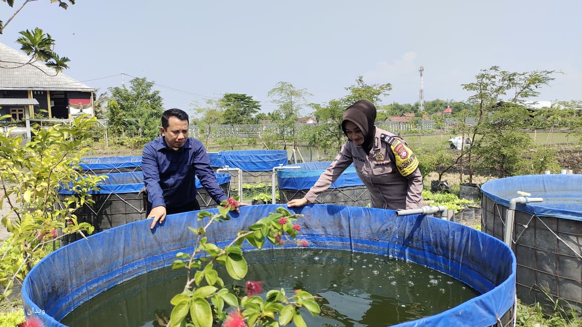 Kolam Lele Terpal Warga Dipantau Bu Bhabin, Cara Cerdas Dukung Ketahanan Pangan dari Pekarangan