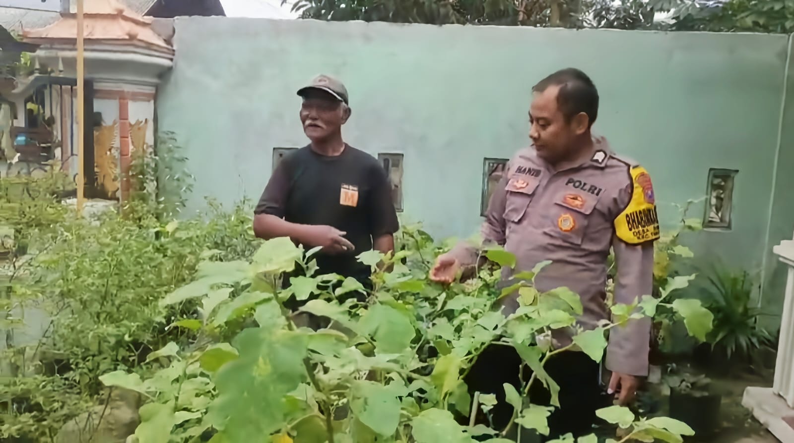 Pantau Kebun Terong Warga, Pak Bhabin Hadir Dukung Ketahanan Pangan di Sonobekel