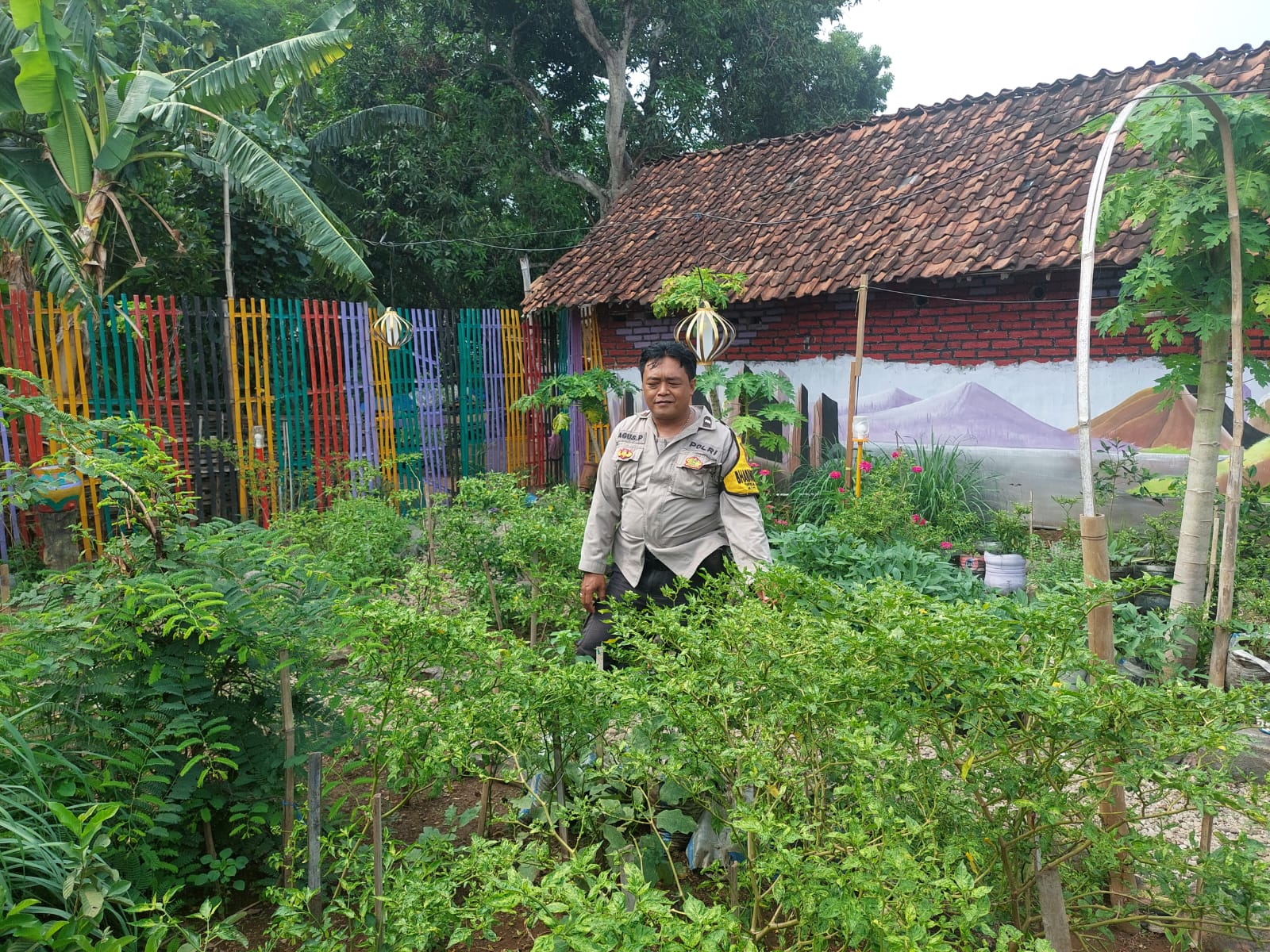 Polisi Jadi Penggerak Ketahanan Pangan, Pekarangan Warga Candirejo Disulap Lebih Produktif