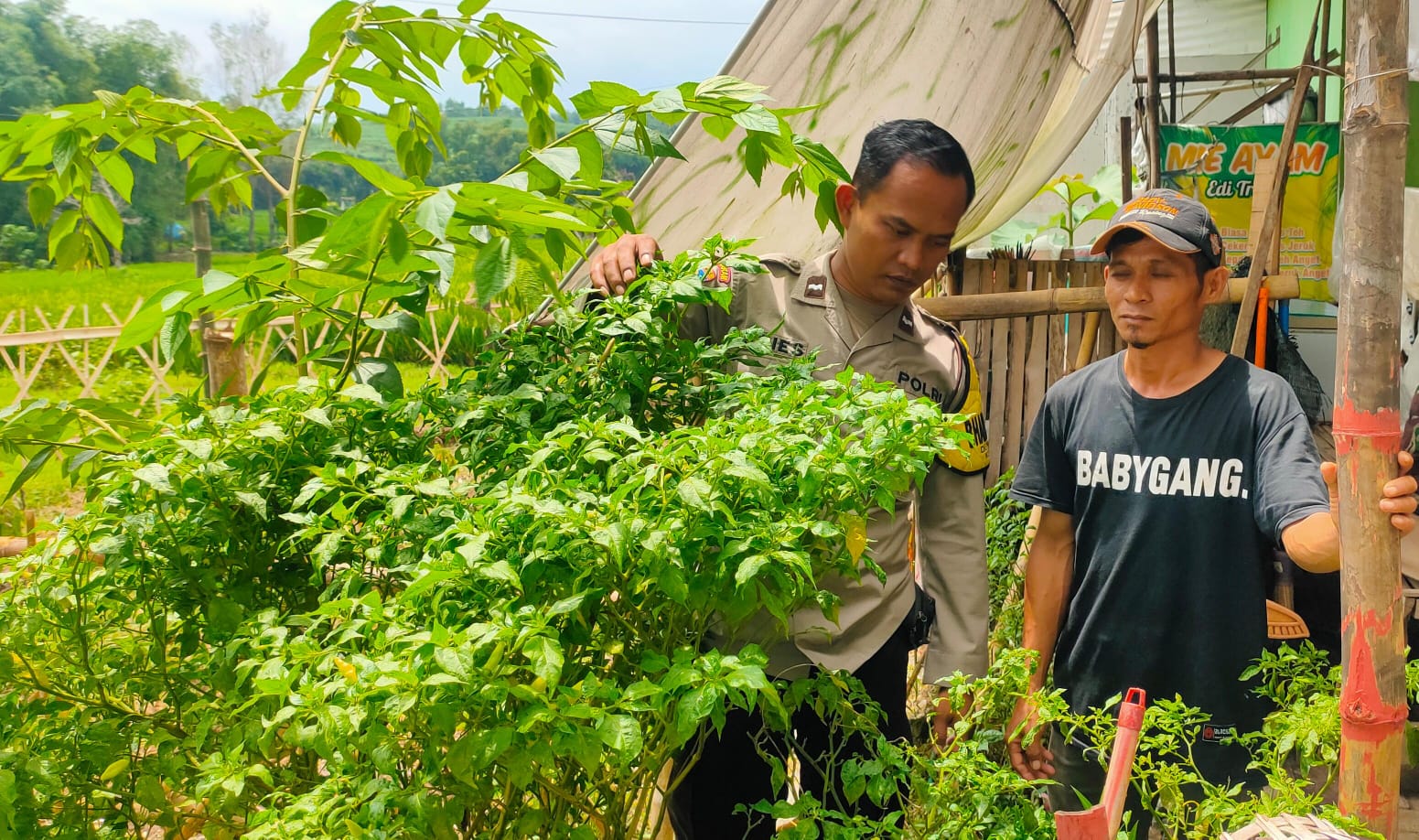 Lahan Sela Disulap Jadi Sumber Pangan, Polisi di Ngetos Dampingi Warga Tanam Palawija