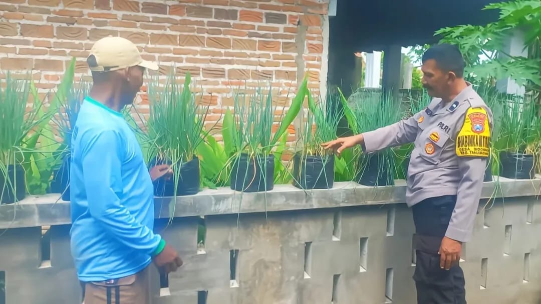 Inovasi Bhabinkamtibmas Bersama Warga Tanam Bawang Merah di Polybag, Dorong Ketahanan Pangan dari Pekarangan