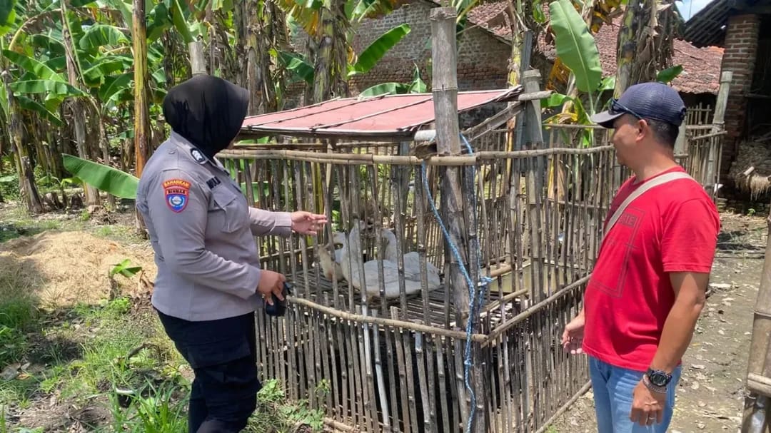 Bhabinkamtibmas Kampungbaru Dorong Ternak Unggas Warga, Perkuat Ketahanan Pangan dan Ekonomi Keluarga