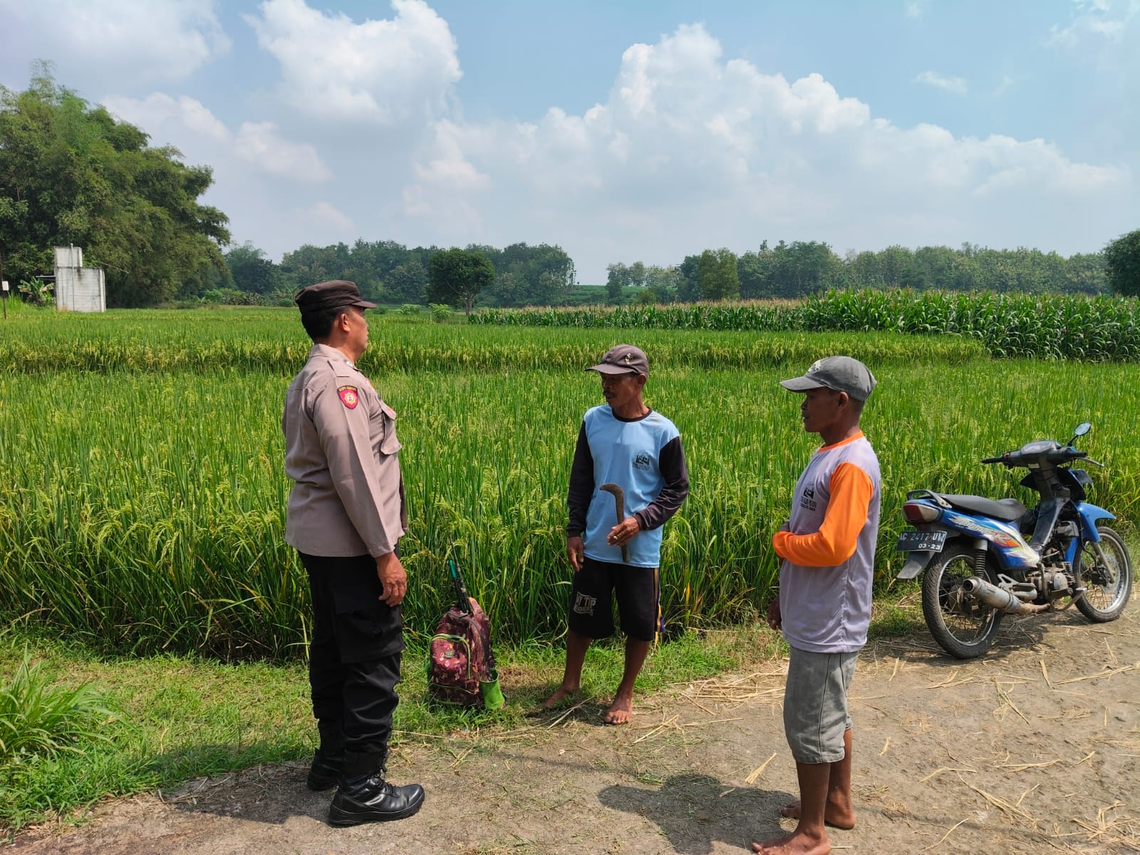 Bhabinkamtibmas Jatigreges Aktif Pantau Lahan Pertanian, Pastikan Pupuk dan Irigasi Lancar