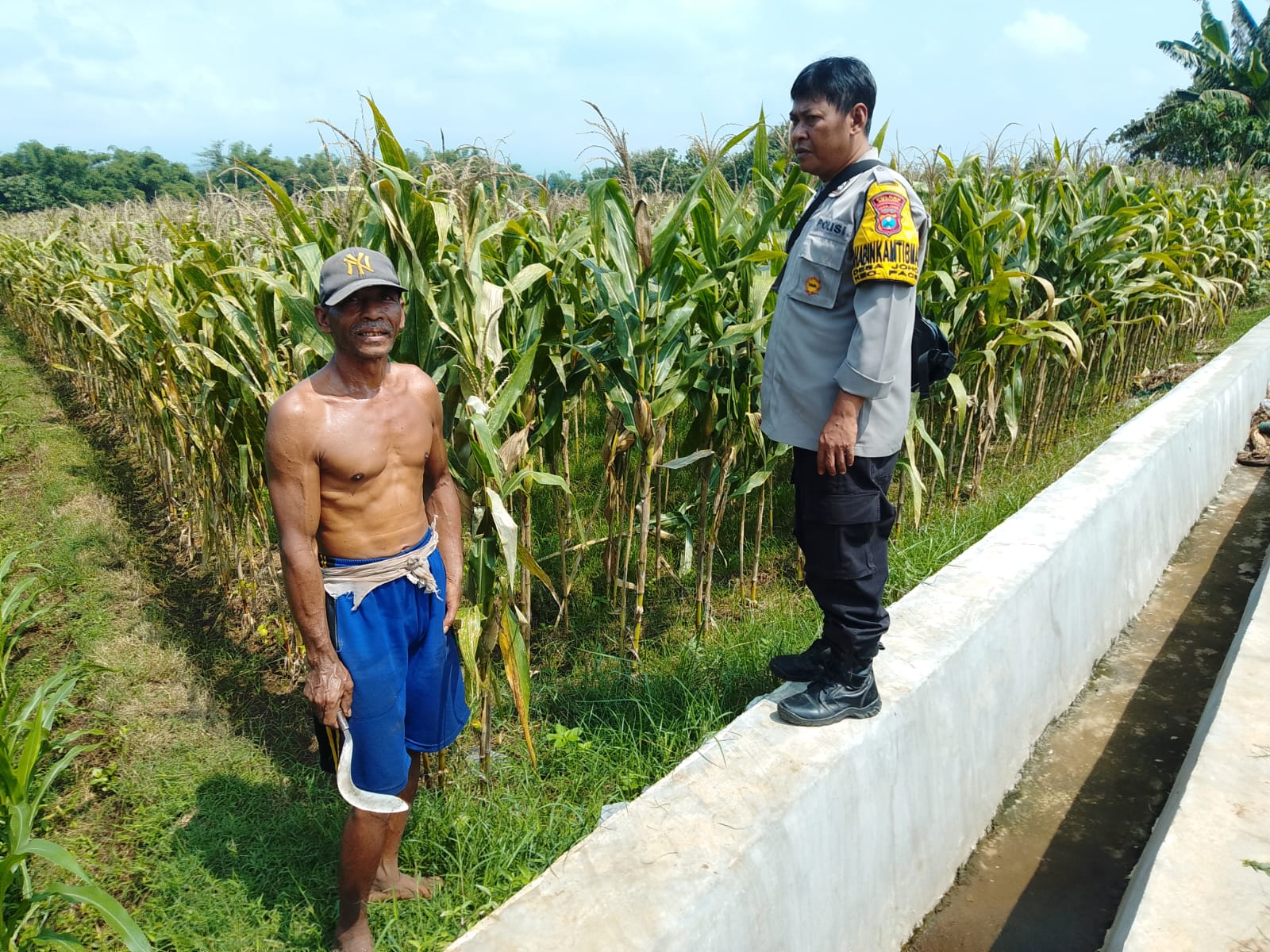 Jelang Panen, Bhabinkamtibmas Joho Pantau Jagung Warga, Pastikan Ketahanan Pangan Tetap Terjaga