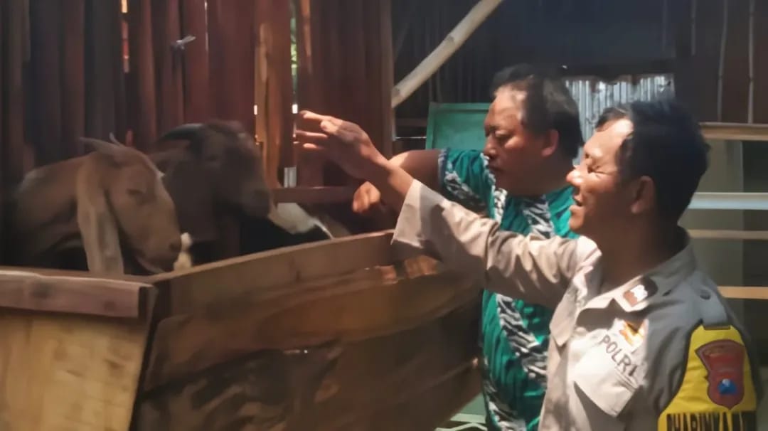 Bhabinkamtibmas Wates Pantau Ternak Kambing Warga, Sekaligus Ingatkan Keamanan Lewat Layanan Darurat