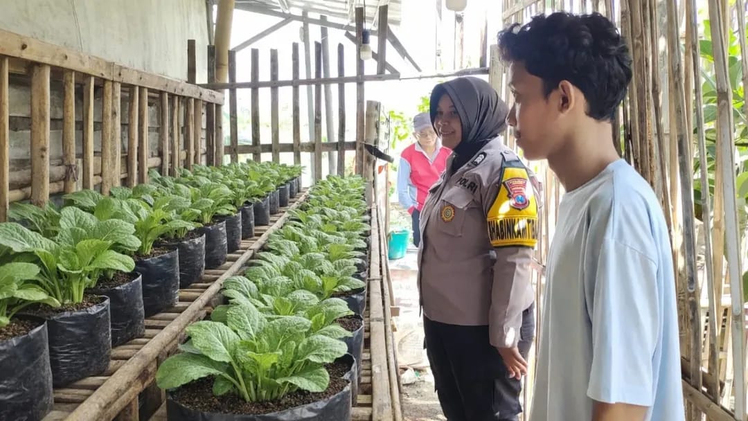 Bhabinkamtibmas Kampungbaru Dorong Warga Manfaatkan Polybag, Pekarangan Jadi Sumber Pangan Bergizi