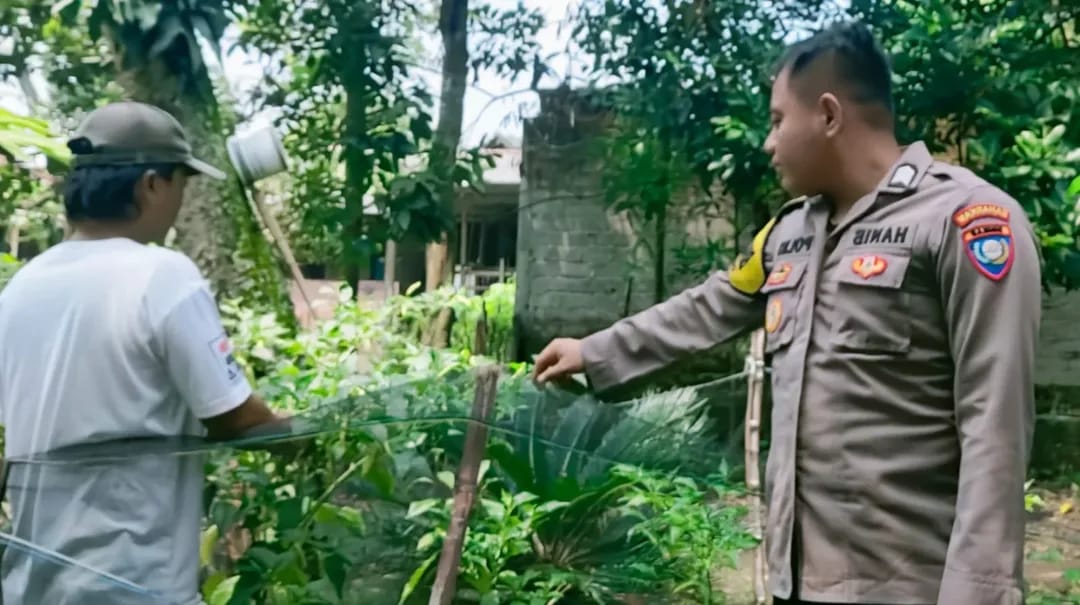 Bhabinkamtibmas Sonobekel Pantau Tanaman Cabai Warga, Perkuat Ketahanan Pangan dari Pekarangan