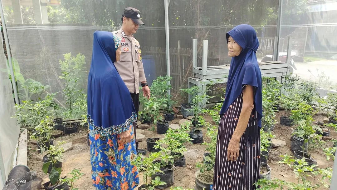 Bhabinkamtibmas Getas Terapkan Green House Sederhana, Cabai Warga Lebih Terjaga