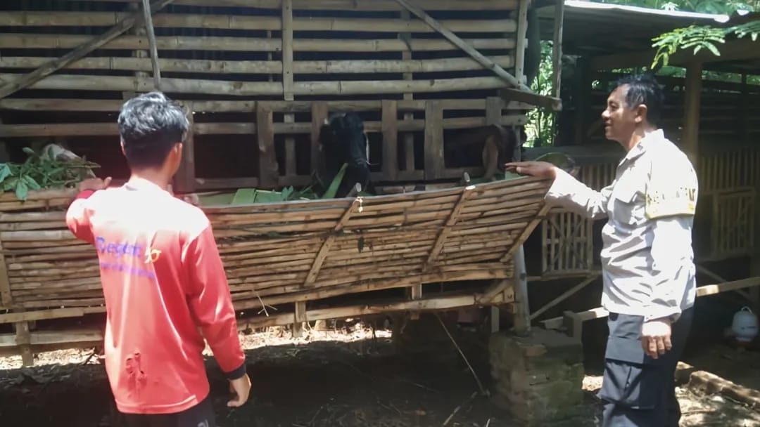 Jelang Idul Adha, Bhabinkamtibmas Wates Pantau Kesehatan Kambing Warga