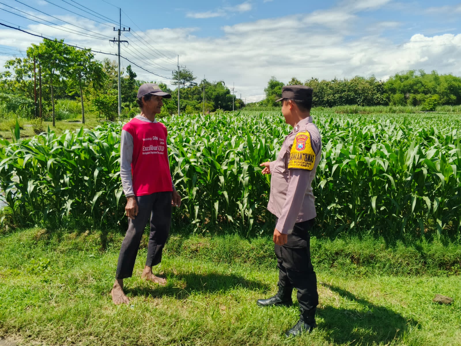Bhabinkamtibmas Mungkung Pantau Jagung dan Serap Keluhan Petani, Dukung Ketahanan Pangan