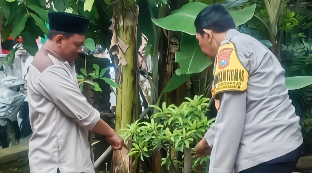 Bhabinkamtibmas Sidoharjo Pantau Pembibitan Sawo dan Kelengkeng, Pekarangan Warga Kian Produktif
