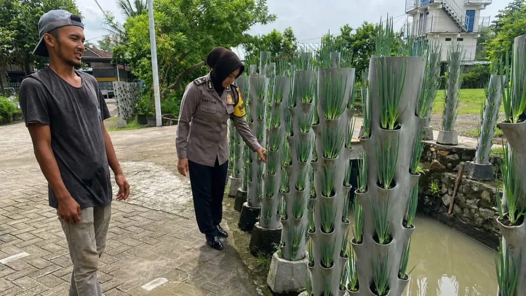 Urban Farming Kian Dilirik, Bhabinkamtibmas Tanjunganom Sulap Paralon Jadi Kebun Bawang Putih