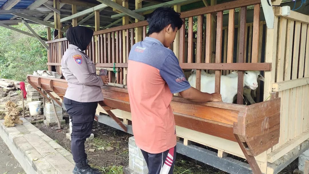 Bhabinkamtibmas Kampungbaru Pantau Ternak Kambing Warga, Kebersihan dan Keamanan Jadi Perhatian