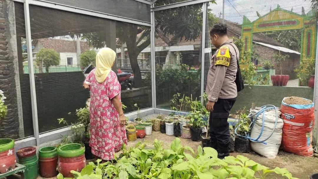 Greenhouse Sederhana di Pekarangan Warga Getas Jadi Langkah Nyata Dukung Ketahanan Pangan