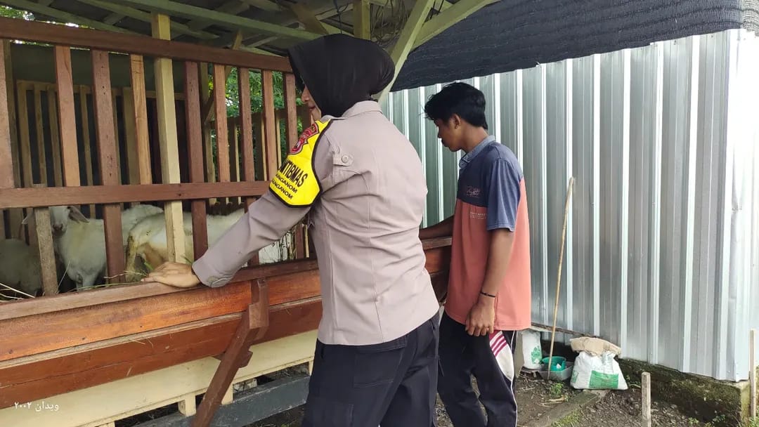 Jaga Ketahanan Pangan dan Kesehatan Ternak, Bhabinkamtibmas Tanjunganom Pantau Kambing Warga