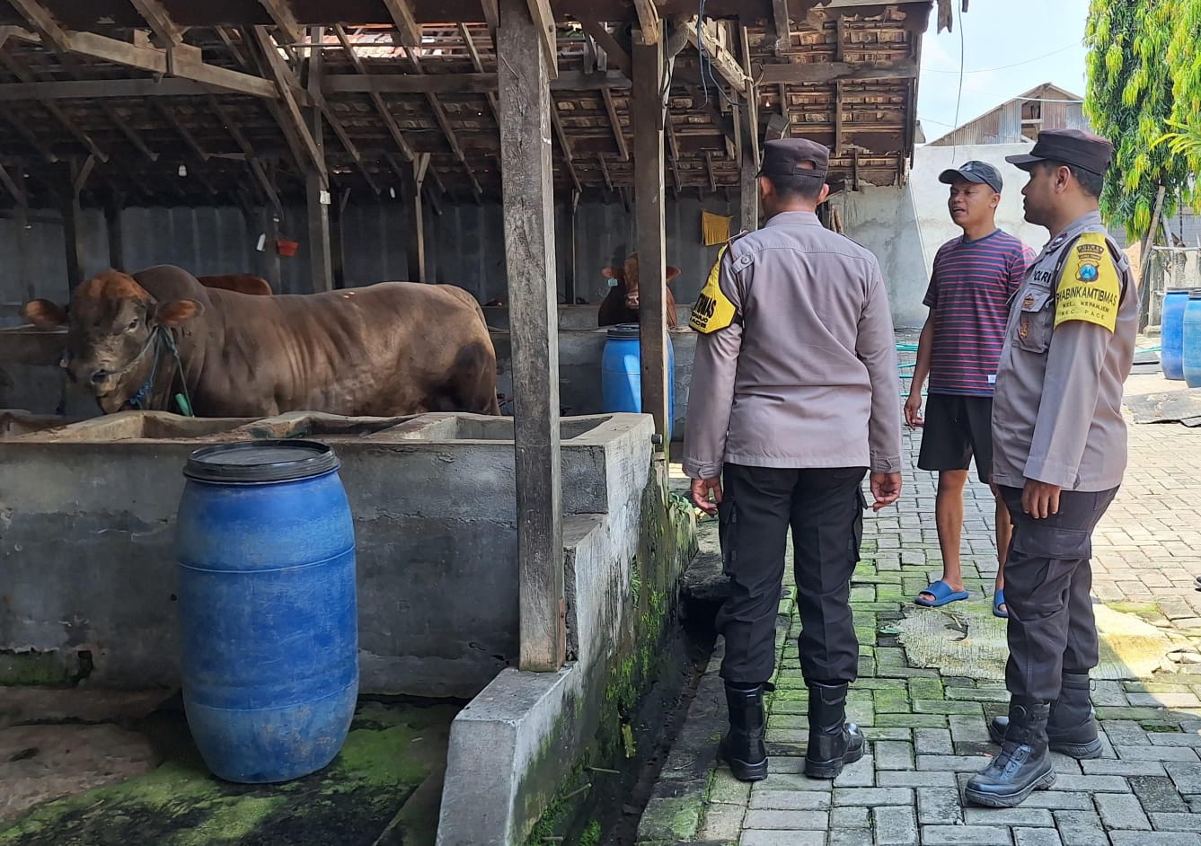 Bhabinkamtibmas Desa Kepanjen Pantau Peternakan Sapi Warga untuk Dukung Ketahanan Pangan