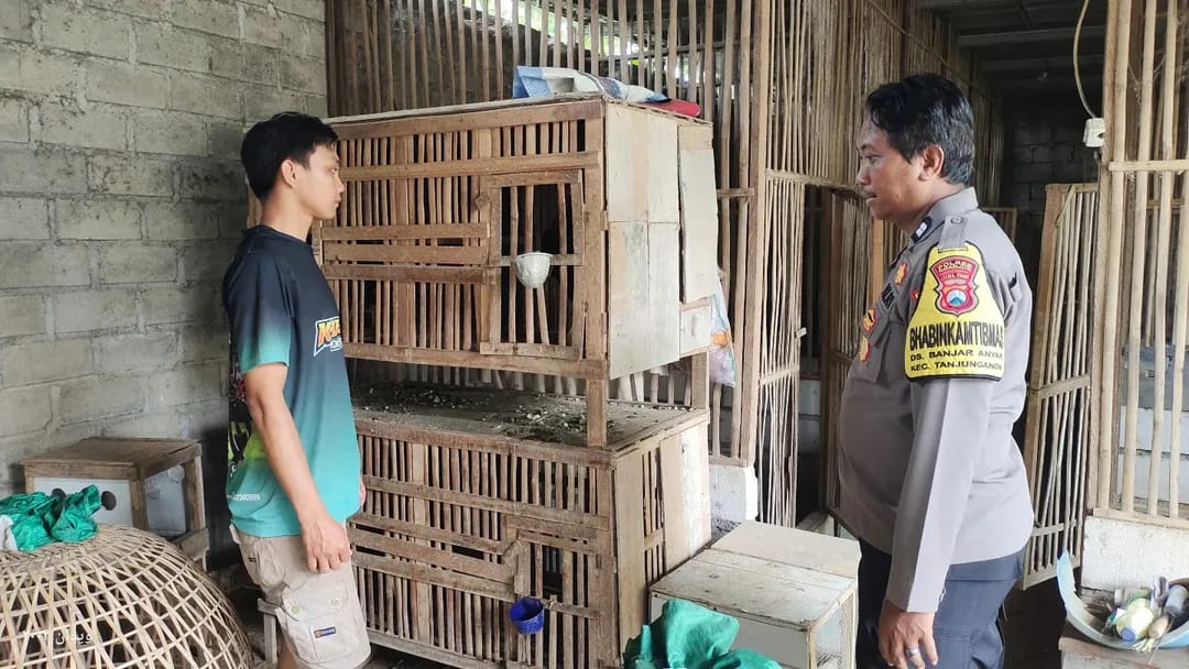 Ternak Ayam Kampung Bernilai Ekonomi Tinggi, Bhabinkamtibmas Banjaranyar Dukung Ketahanan Pangan Warga