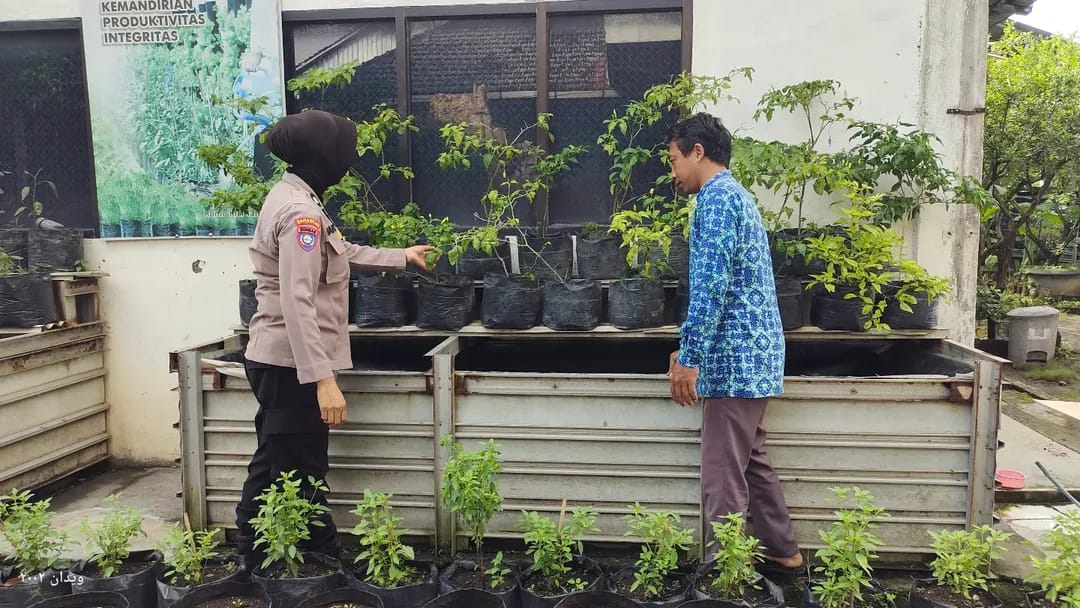 Vertikultur dan Polybag Jadi Solusi, Bhabinkamtibmas Tanjunganom Dorong Pekarangan Produktif