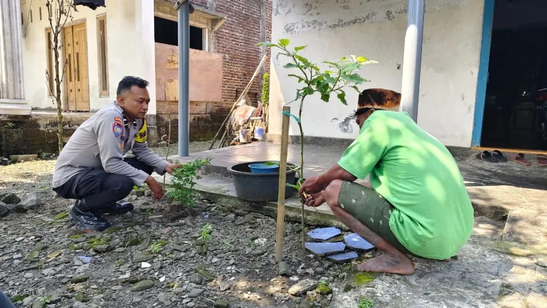 Kelengkeng Bernilai Ekonomi Tinggi Jadi Andalan P2B Warga Warujayeng