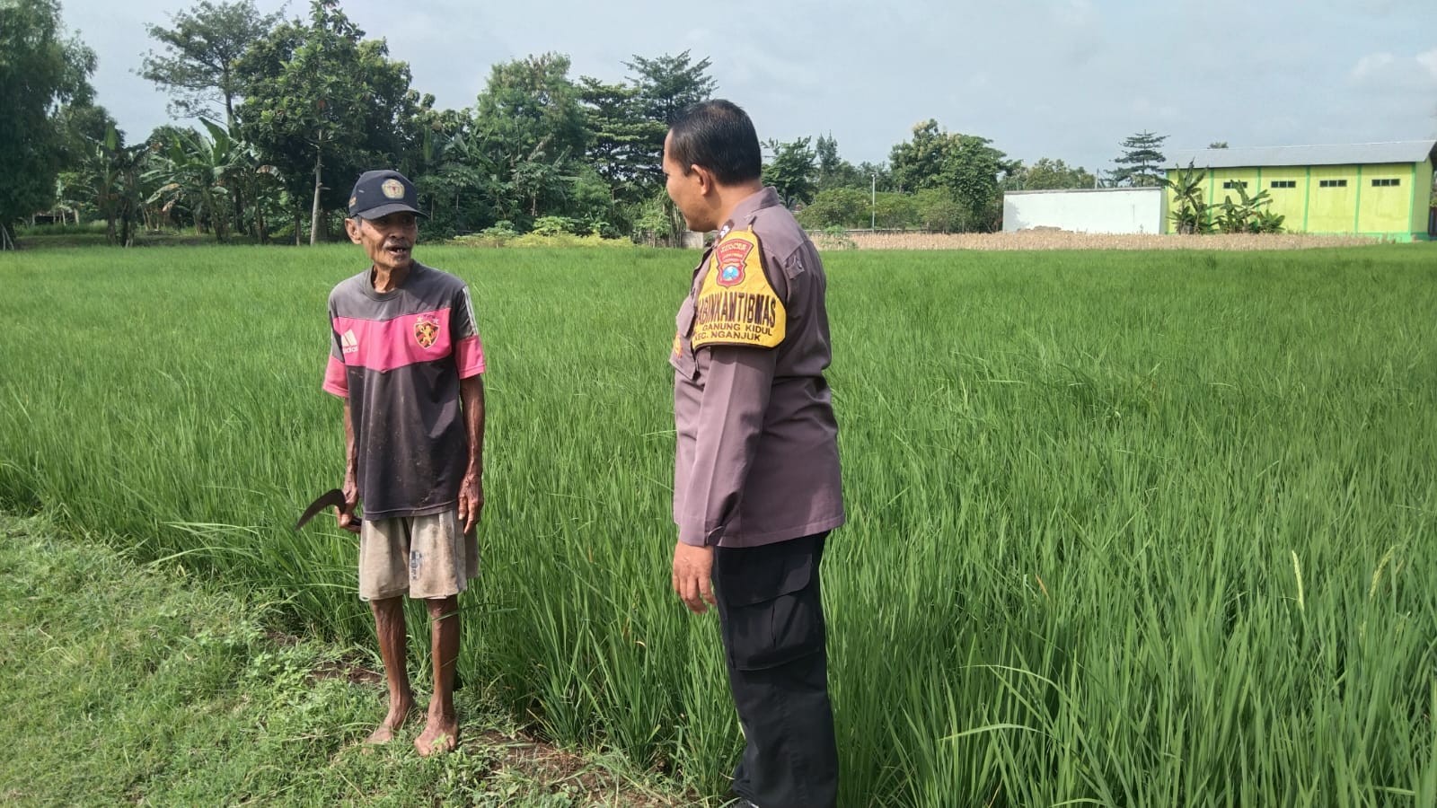 Cek Lahan Pertanian Warga Binaannya Bhabinkamtibmas Polsek Nganjuk Kota Mendukung Program Ketahanan Pangan Nasional