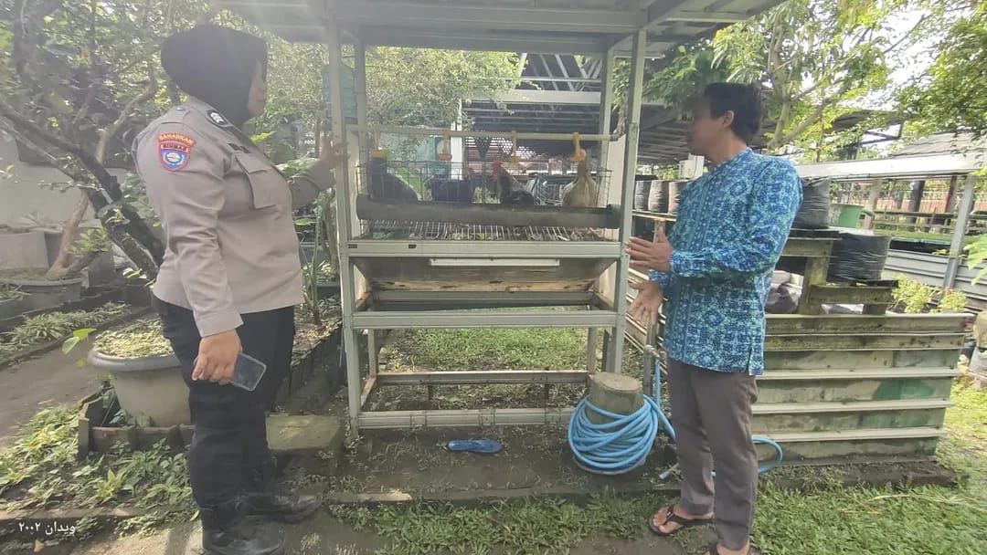 Pekarangan Disulap Jadi Kandang Ayam Petelur, Bhabinkamtibmas Kampungbaru Dukung Ketahanan Pangan