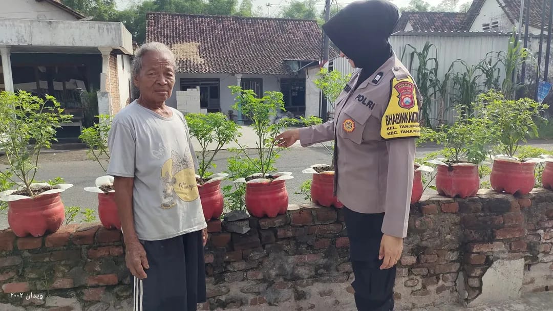 Galon Bekas Disulap Jadi Kebun Cabe, Inovasi Warga Tanjunganom Dapat Pendampingan Polisi