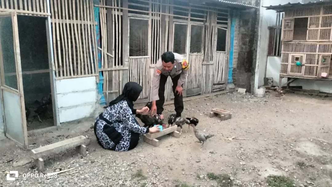Ternak Ayam Rumahan Bernilai Ekonomi Tinggi, Bhabinkamtibmas Kedungrejo Dukung Ketahanan Pangan