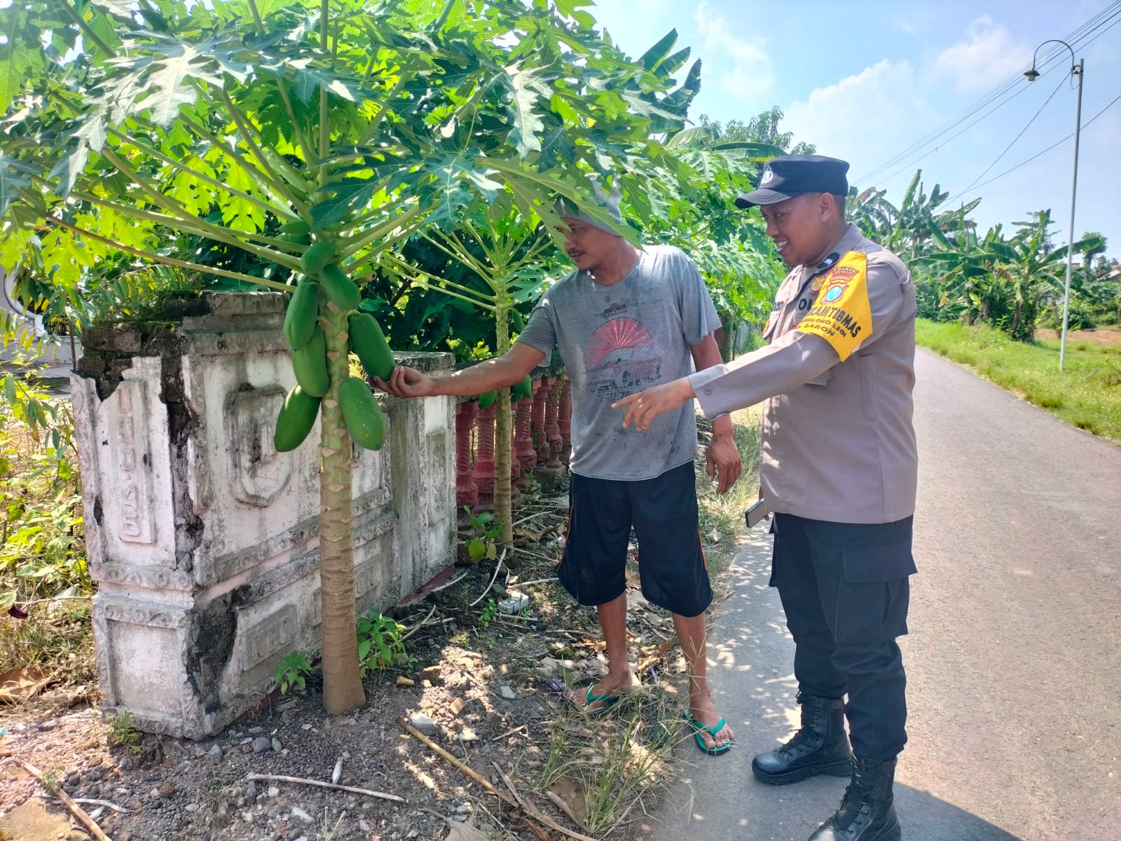 Lahan Pinggir Jalan Disulap Jadi Kebun Pepaya dan Terong, Polisi Dampingi Warga Jogomerto