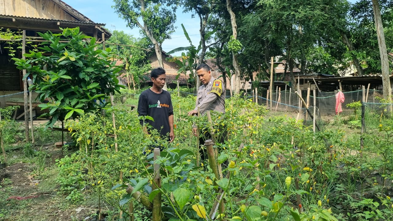 Bhabinkamtibmas Kendalrejo Dampingi Warga Manfaatkan Pekarangan Produktif
