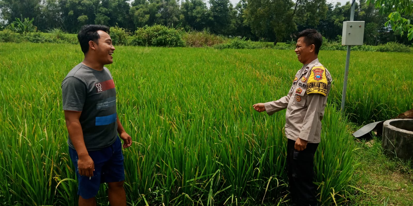 Kedelai Jadi Andalan Ketahanan Pangan, Bhabinkamtibmas Mojorembun Dampingi Petani