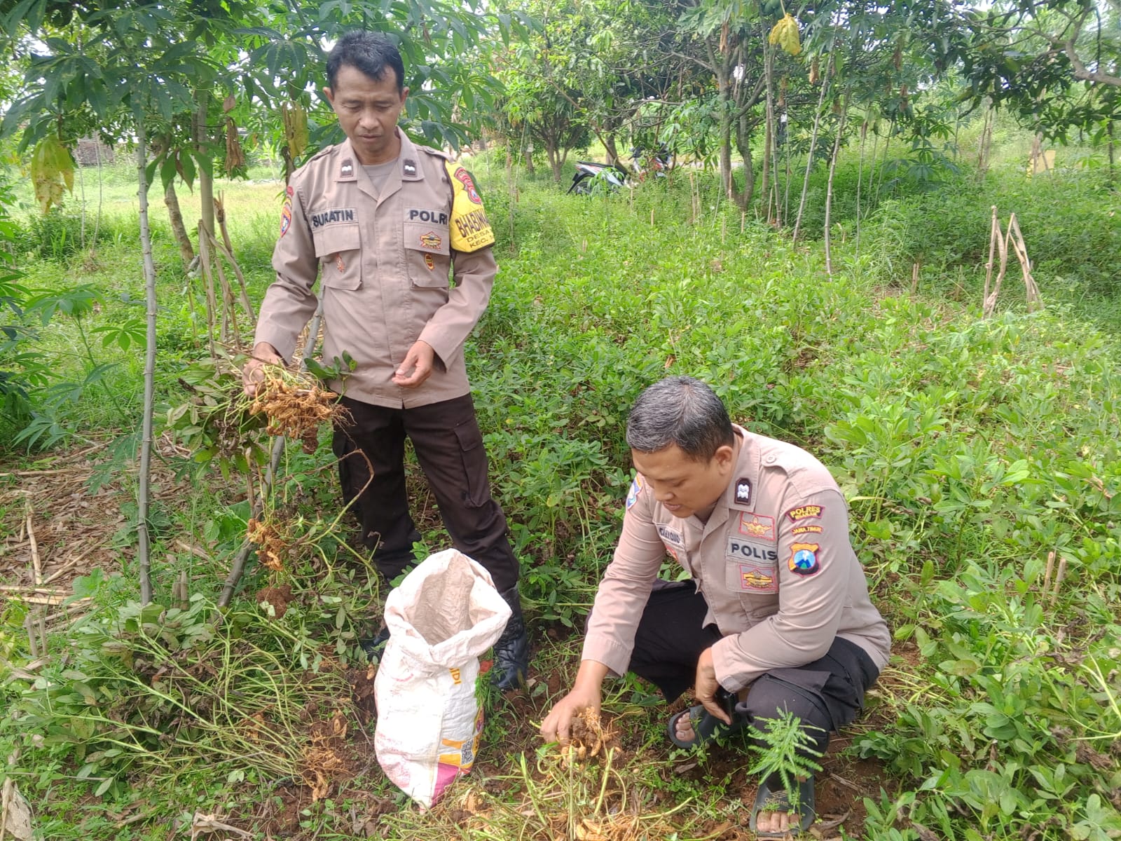 Bhabinkamtibmas Munung Dampingi Warga Manfaatkan Lahan Sela untuk Labu Air