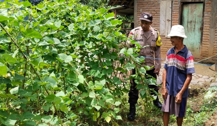 Pekarangan Warga Duren Jadi Kebun Kacang Produktif, Polisi Turut Dampingi