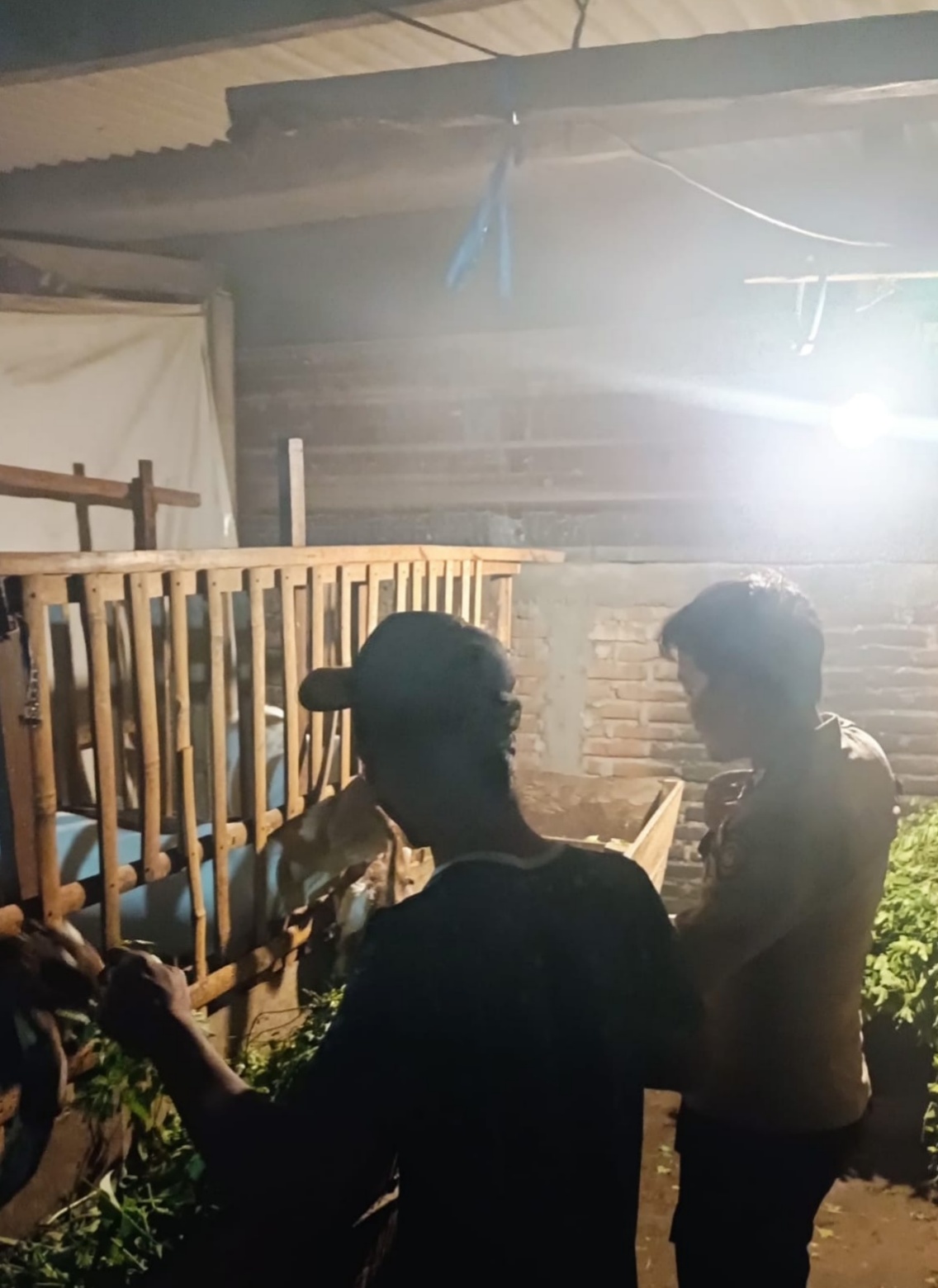 Bhabinkamtibmas Desa Juwet Pantau Kesehatan dan Keamanan Ternak Kambing Warga