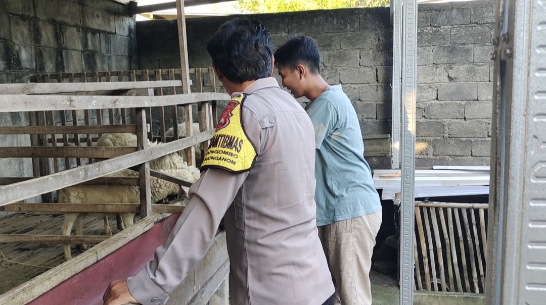 Ternak Kambing Warga Kedungombo Dipantau Pak Bhabin untuk Dukung Ketahanan Pangan