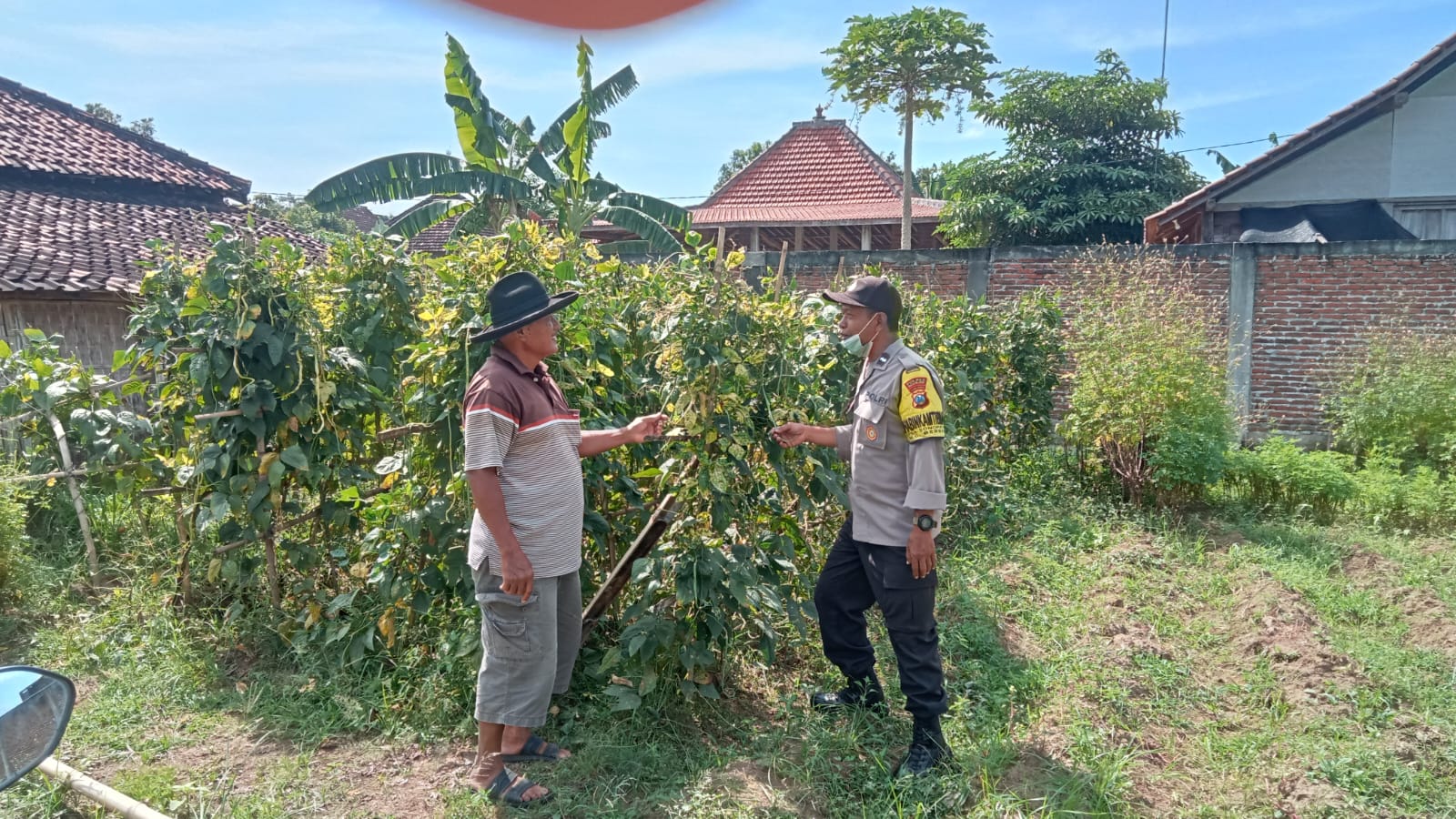 Pekarangan Warga Sonopatik Disulap Jadi Kebun Sayur dan Buah Produktif