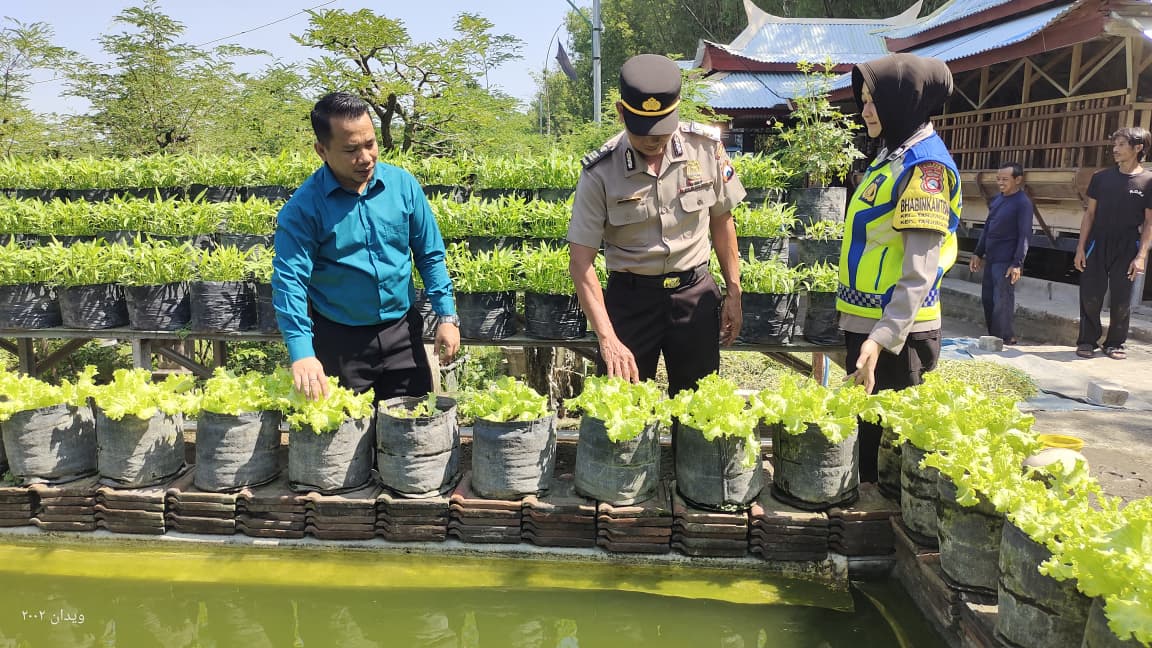 Selada, Kangkung dan Kolam Ikan Jadi Kombinasi P2B Produktif di Tanjunganom