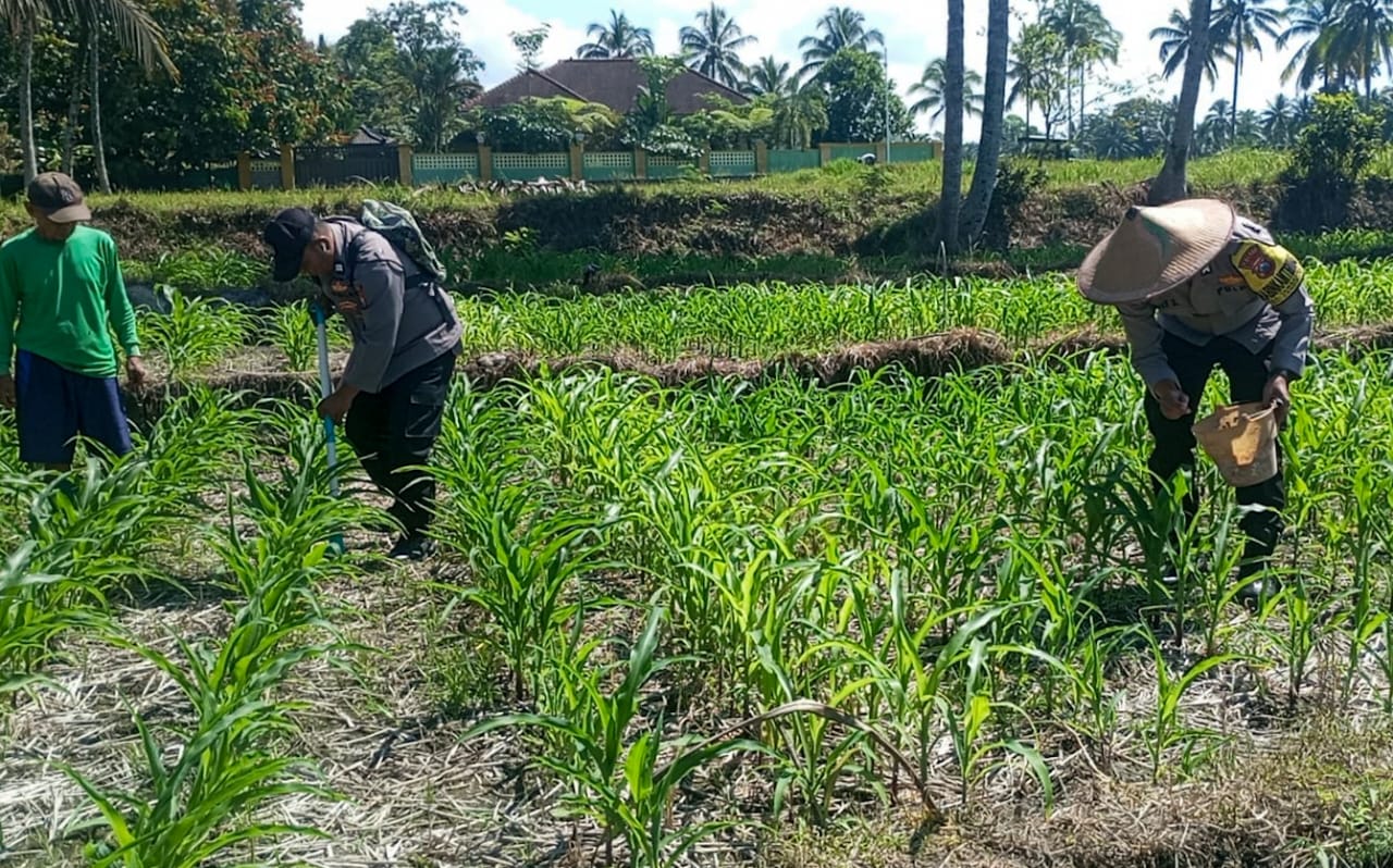 Polres Lumajang Terjunkan Personel Penggerak Ketahanan Pangan Dampingi Warga Tani