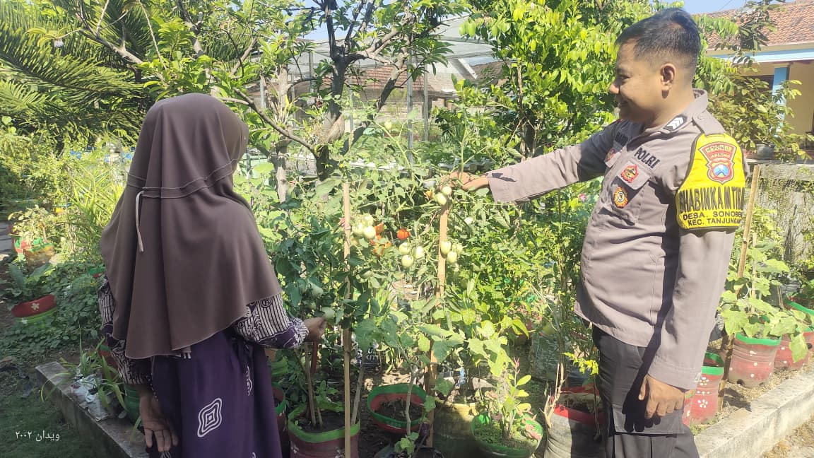 Dukung Ketahanan Pangan, Bhabinkamtibmas Sonobekel Apresiasi Kreativitas Warga Manfaatkan Pekarangan Rumah