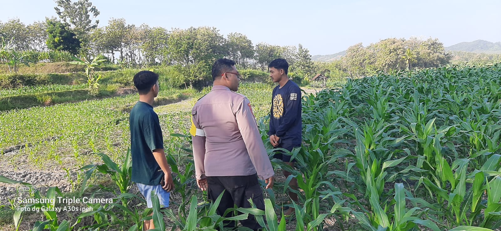 Bhabinkamtibmas Lengkong Lor Pastikan Jagung Tumbuh Optimal dan Kendaraan Petani Aman