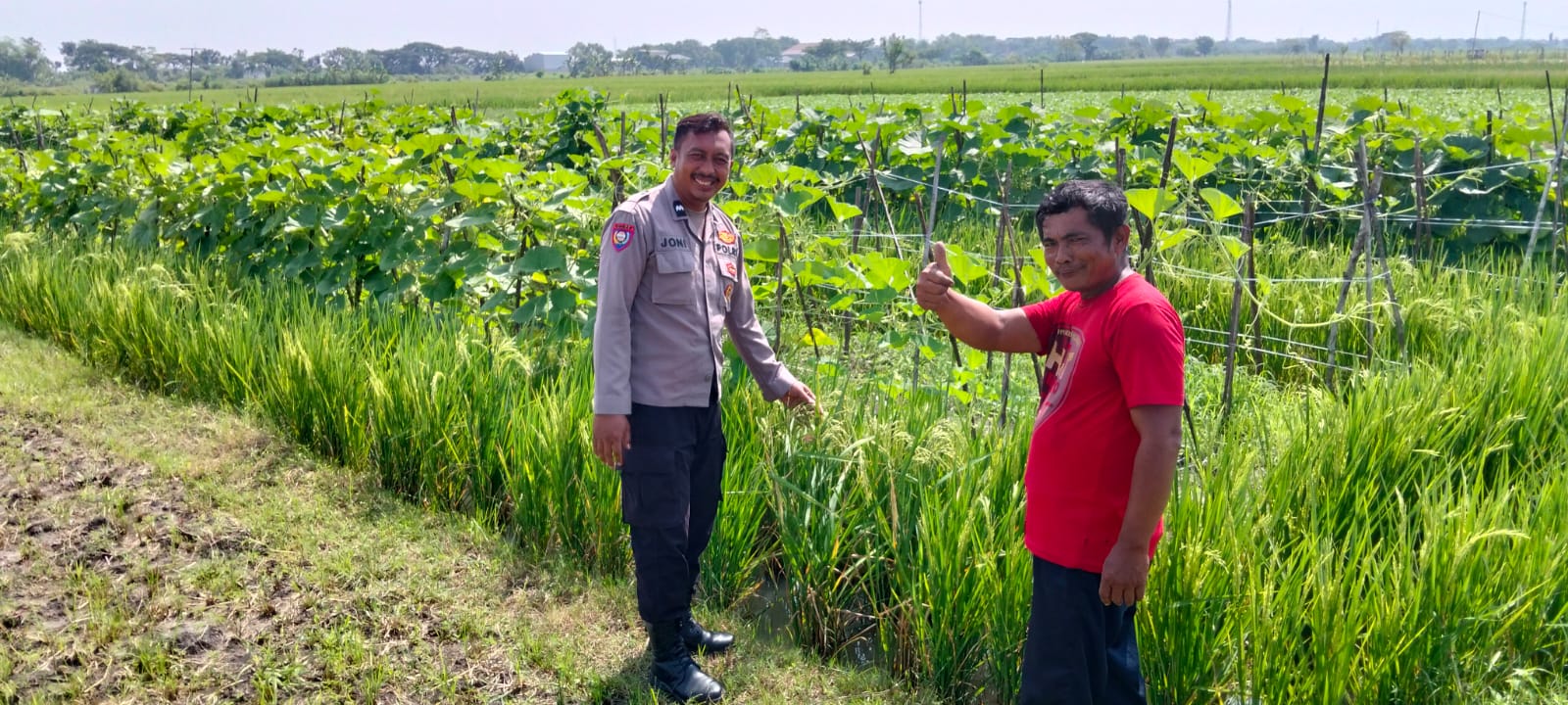 Bhabinkamtibmas Desa Kedungdowo Pantau Lahan Pertanian dan P2B, Dukung Ketahanan Pangan Nasional