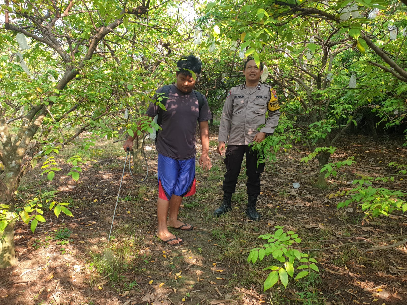 Kebun Buah Pekarangan Warga Wilangan Dipantau Polisi, Dukung Ketahanan Pangan Nasional