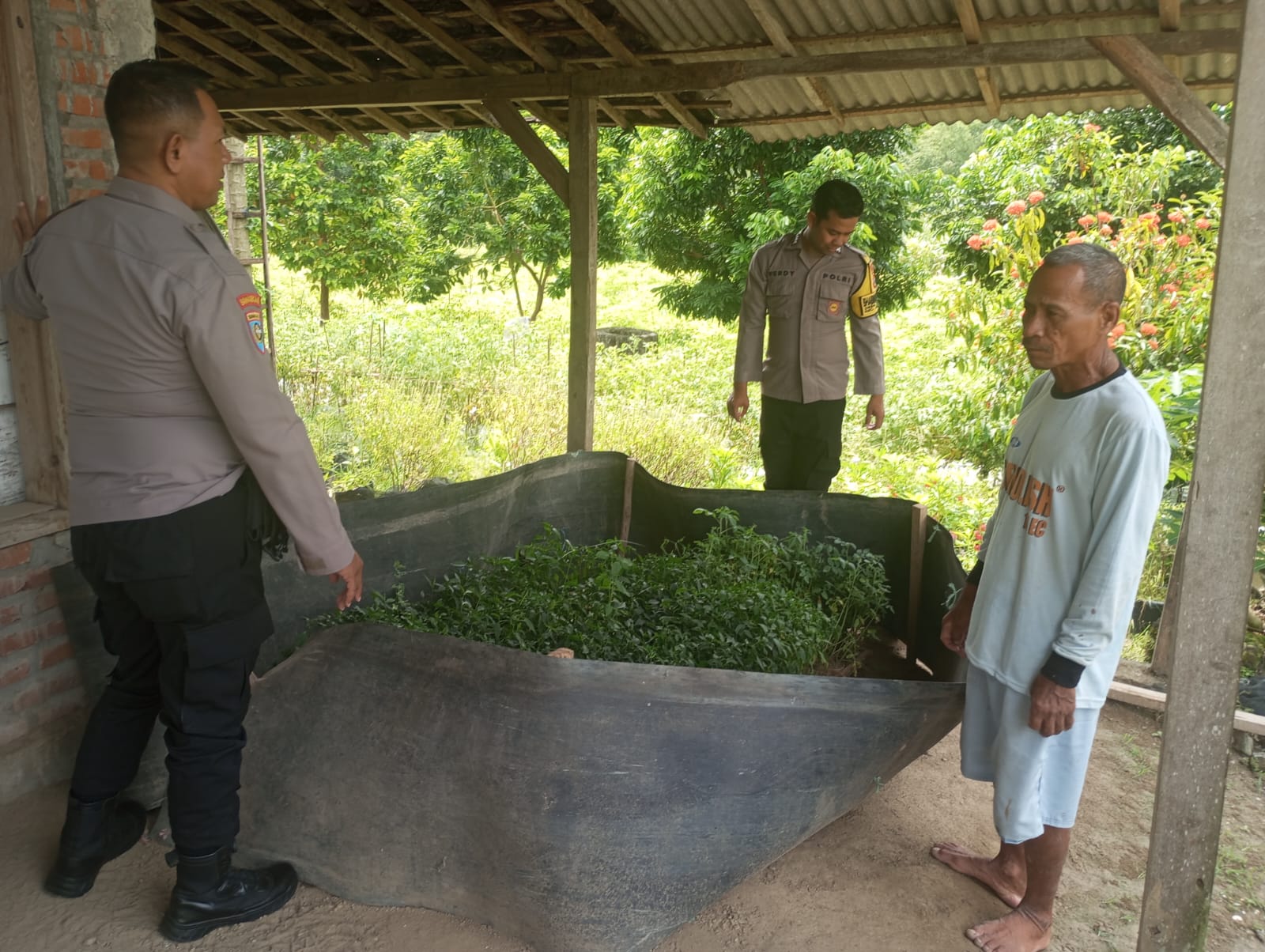 Siapkan Bibit Cabe untuk Lahan Sela, Polisi dan Warga Perning Dukung Ketahanan Pangan