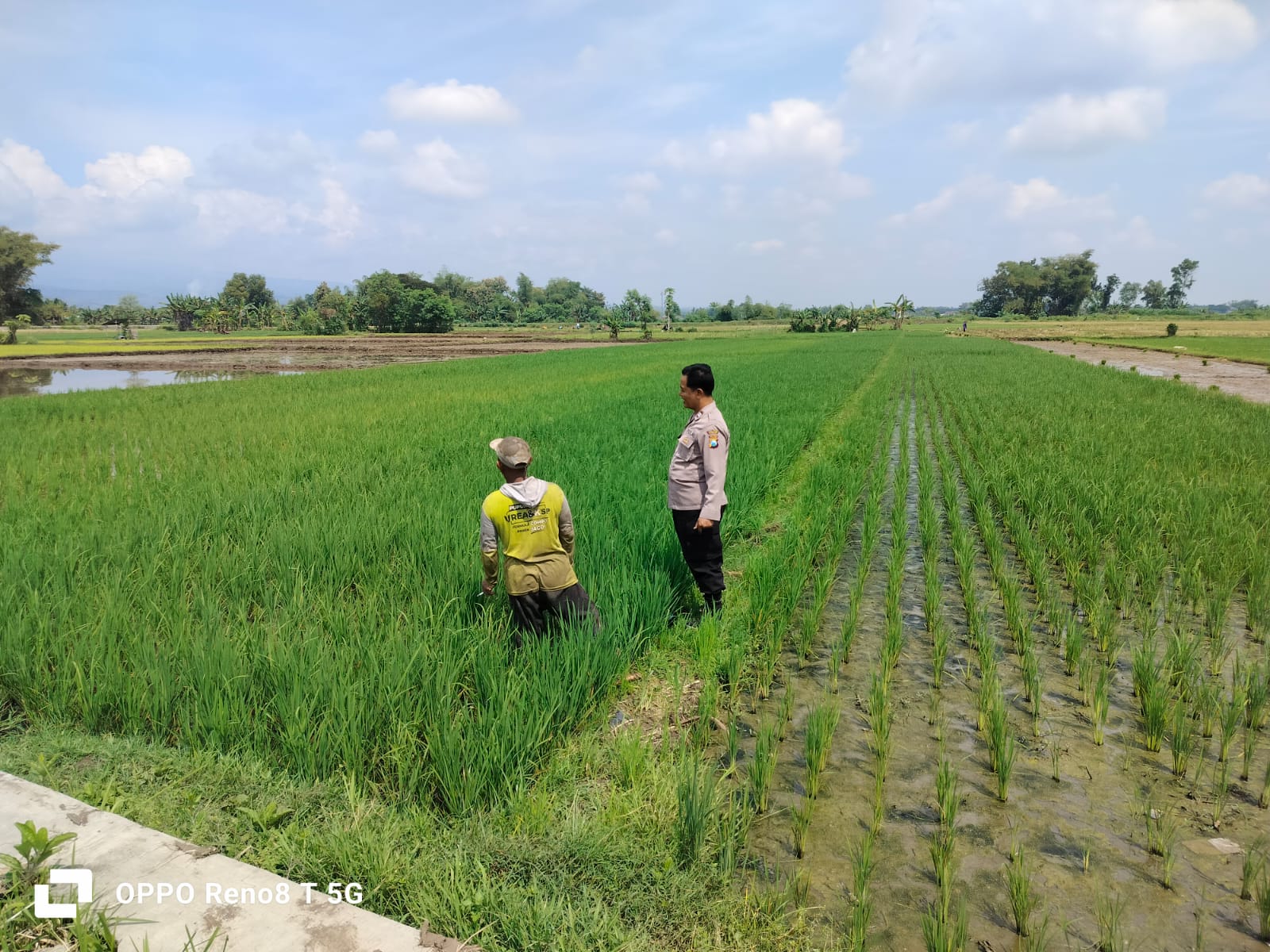 Pastikan Pasokan Air Terjaga, Bhabinkamtibmas Kecubung Pantau Irigasi Pertanian
