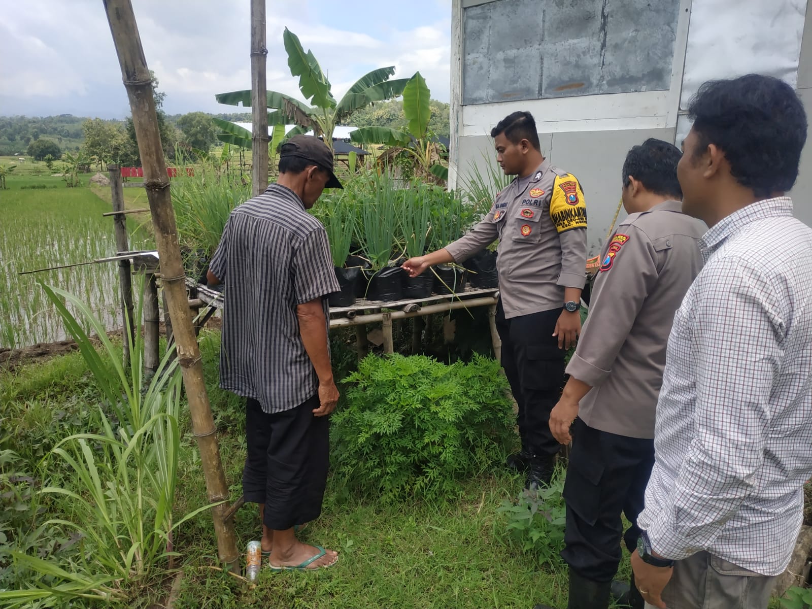 Manfaatkan Lahan Sela, Bhabinkamtibmas Tempuran Pantau Budidaya Bawang Merah Warga