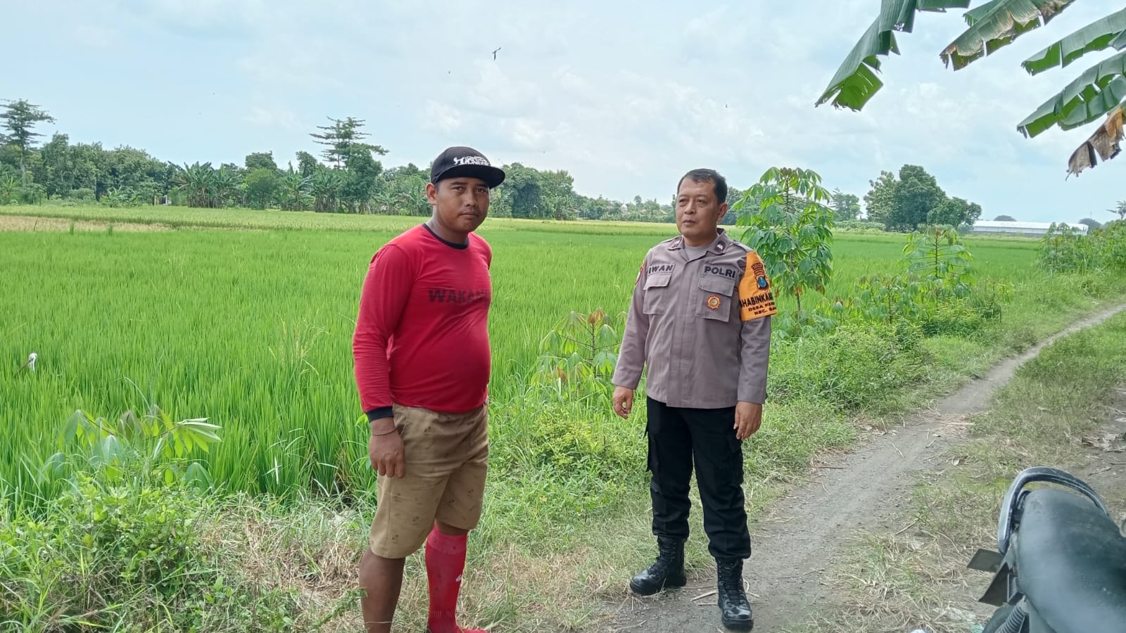Pastikan Sawah Tetap Produktif, Bhabinkamtibmas Kemaduh Pantau Ketersediaan Air Pertanian