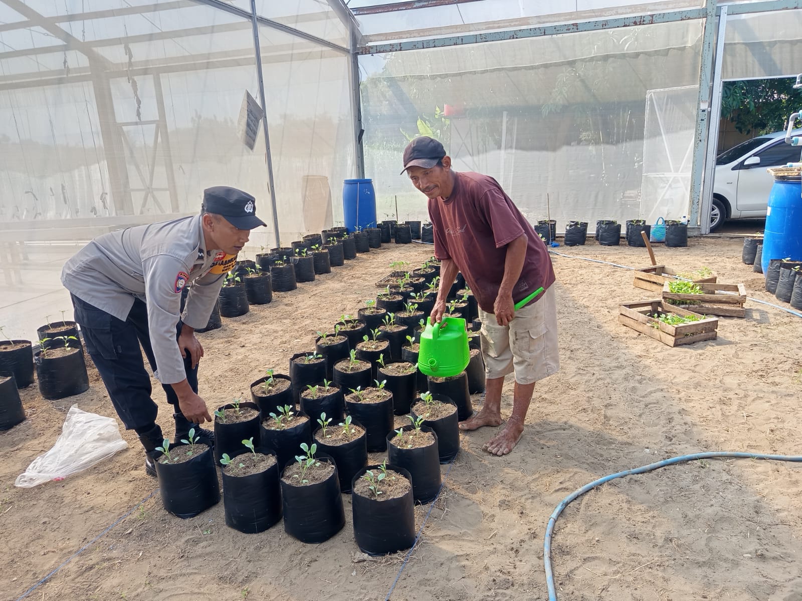 Pekarangan Disulap Jadi Greenhouse, Bhabinkamtibmas Baron Dukung Pembibitan Sayur Warga